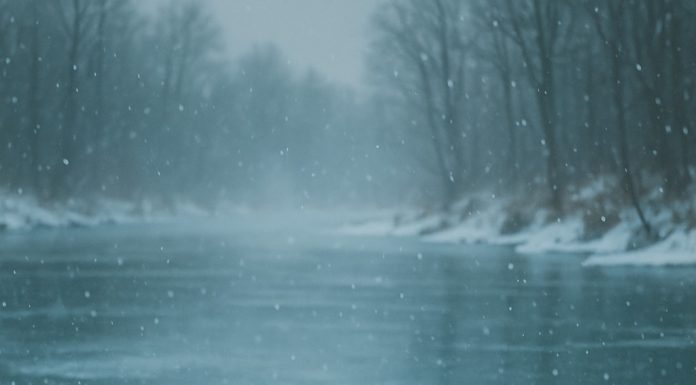 Dječak je propao kroz led, ali u blizini je bio pas lutalica i izvukao ga je za jaknu