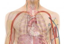 OBRATI PAŽNJU: Ovo su 20 ranih znakova da se vaše tijelo bori protiv raka