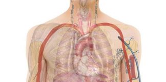 OBRATI PAŽNJU: Ovo su 20 ranih znakova da se vaše tijelo bori protiv raka