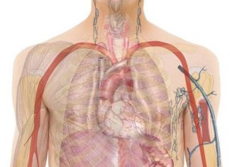 OBRATI PAŽNJU: Ovo su 20 ranih znakova da se vaše tijelo bori protiv raka