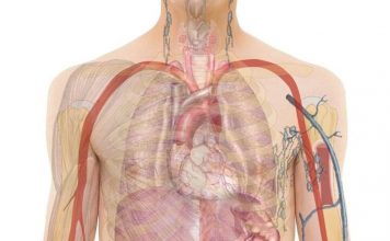 OBRATI PAŽNJU: Ovo su 20 ranih znakova da se vaše tijelo bori protiv raka