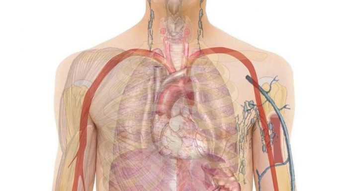 OBRATI PAŽNJU: Ovo su 20 ranih znakova da se vaše tijelo bori protiv raka