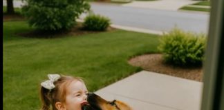 Na početku su svi mislili da je moj pas napao devojčicu, ali snimci sa kamera su pokazali potpuno drugačiju situaciju.