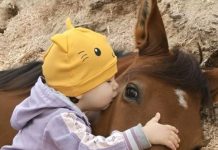 Moja ćerka je volela da se igra sa komšijinim konjem i jednog dana to je dovelo do neočekivanog otkrića.