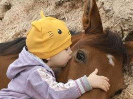 Moja ćerka je volela da se igra sa komšijinim konjem i jednog dana to je dovelo do neočekivanog otkrića.