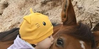 Moja ćerka je volela da se igra sa komšijinim konjem i jednog dana to je dovelo do neočekivanog otkrića.