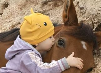 Moja ćerka je volela da se igra sa komšijinim konjem i jednog dana to je dovelo do neočekivanog otkrića.