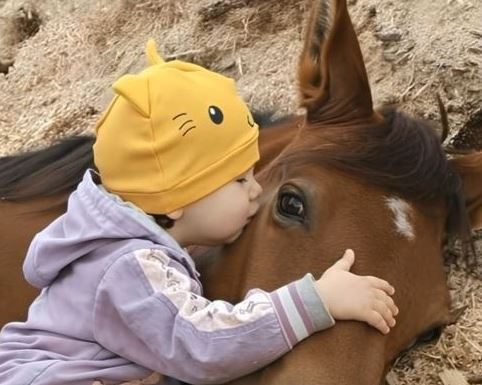 Moja ćerka je volela da se igra sa komšijinim konjem i jednog dana to je dovelo do neočekivanog otkrića.