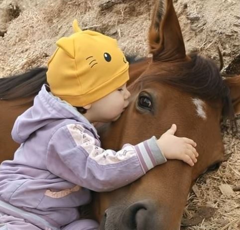 Moja ćerka je volela da se igra sa komšijinim konjem i jednog dana to je dovelo do neočekivanog otkrića.