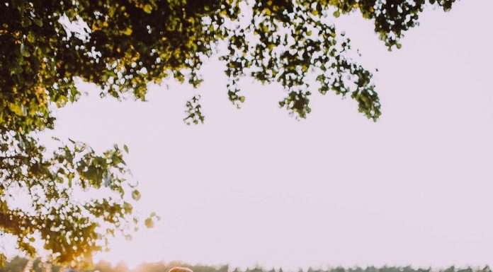 Lekcija majke koju bi svaki roditelj trebalo da pročita: kako je jedna mama genijalno naučila sina odgovornosti