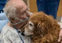 Šaptao je ime „Marfi“. Kada smo saznali ko je to, svi smo zaplakali.