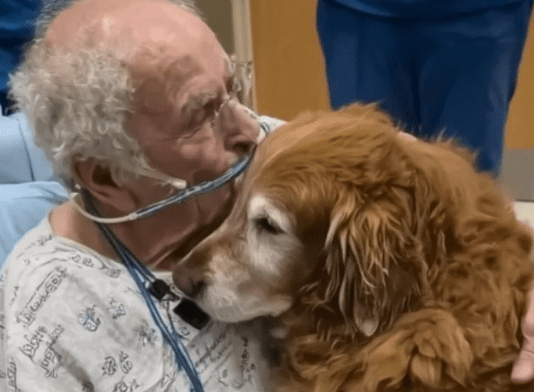 Šaptao je ime „Marfi“. Kada smo saznali ko je to, svi smo zaplakali.