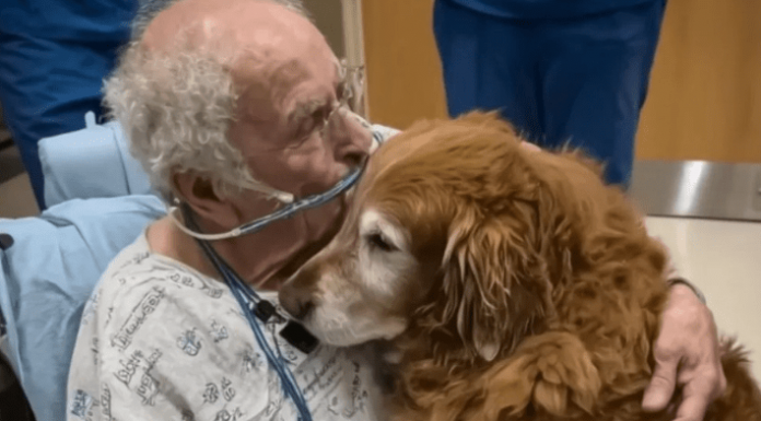 Šaptao je ime „Marfi“. Kada smo saznali ko je to, svi smo zaplakali.