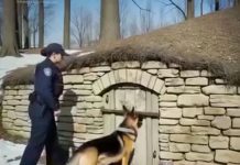 Četiri godine tišine i nade 👮♀️🐕