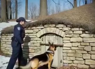 Četiri godine tišine i nade 👮♀️🐕
