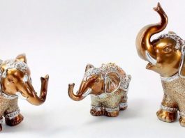 U KUĆU SAM UNIJELA 1 PREDMET, SREĆA JE KONAČNO ZAKUCALA NA MOJA VRATA: Ovo privlači zdravlje, uspjeh, BLAGOSTANJE