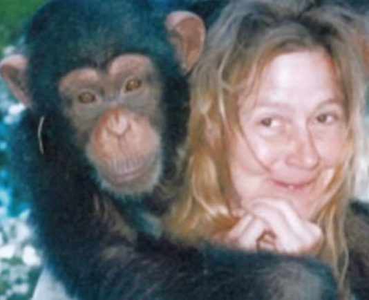 Sandra je godinama gajila šimpanzu i spavala sa njom, ne sluteći šta će je snaći: Taj užas potresao je ceo svet