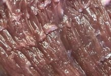 Kupila sam meso u prodavnici i u njemu našla neobičan predmet: bila sam veoma iznenađena što nešto takvo može da se nađe u proizvodu.