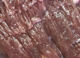 Kupila sam meso u prodavnici i u njemu našla neobičan predmet: bila sam veoma iznenađena što nešto takvo može da se nađe u proizvodu.