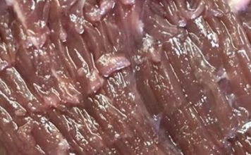 Kupila sam meso u prodavnici i u njemu našla neobičan predmet: bila sam veoma iznenađena što nešto takvo može da se nađe u proizvodu.