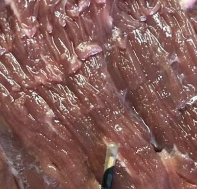 Kupila sam meso u prodavnici i u njemu našla neobičan predmet: bila sam veoma iznenađena što nešto takvo može da se nađe u proizvodu.