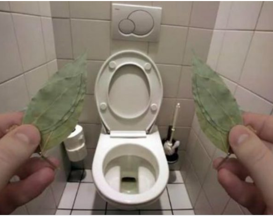 Evo zašto sam stavio lovorov list u kupatilo: Znale su već naše bake!