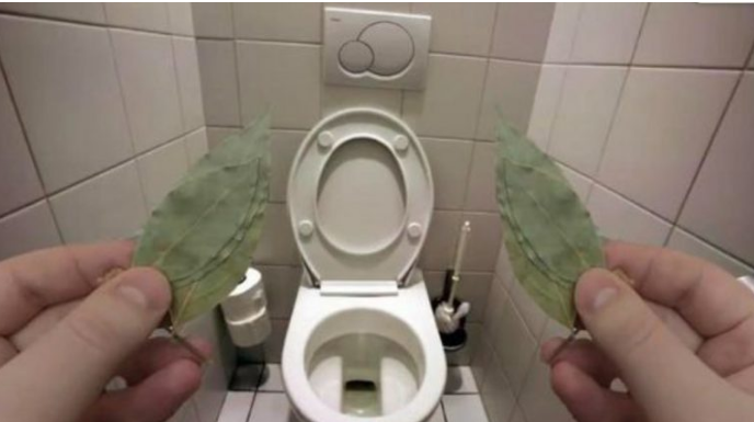 Evo zašto sam stavio lovorov list u kupatilo: Znale su već naše bake!