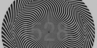 Koji broj vidite? optička varka zbunila korisnike društvenih mreža