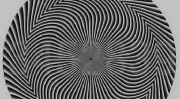 Koji broj vidite? optička varka zbunila korisnike društvenih mreža