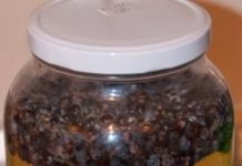 NAJJAČI PRIRODNI LIJEK ZA ŠEĆERNU BOLEST: Obavezno zabilježite recept jer je njegova priprema jako jednostavna !