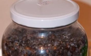 NAJJAČI PRIRODNI LIJEK ZA ŠEĆERNU BOLEST: Obavezno zabilježite recept jer je njegova priprema jako jednostavna !