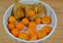 UZIMA SE SAMO JEDNOM DNEVNO: Protiv najtežih oblika bolesti debelog crijeva, jetre, prostate…