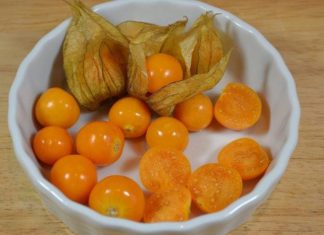 UZIMA SE SAMO JEDNOM DNEVNO: Protiv najtežih oblika bolesti debelog crijeva, jetre, prostate…