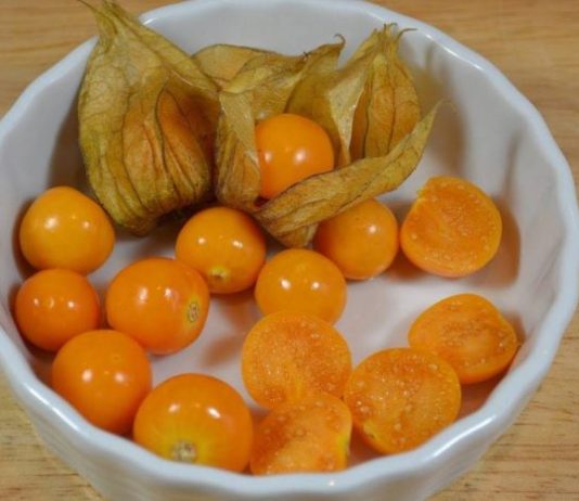 UZIMA SE SAMO JEDNOM DNEVNO: Protiv najtežih oblika bolesti debelog crijeva, jetre, prostate…