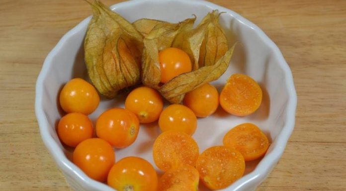 UZIMA SE SAMO JEDNOM DNEVNO: Protiv najtežih oblika bolesti debelog crijeva, jetre, prostate…