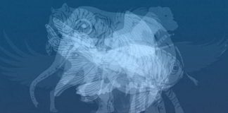 Životinja koju prvu vidite na slici otkrit će do gole kože vaš karakter: Jeste li spremni?