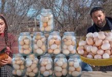 Jaja ostaju sveža celu godinu i ne kvare se !!!!