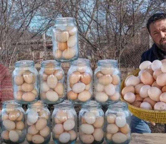 Jaja ostaju sveža celu godinu i ne kvare se !!!!