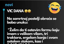 VIC DANA: BABA i milijoni
