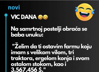 VIC DANA: BABA i milijoni