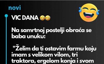 VIC DANA: BABA i milijoni