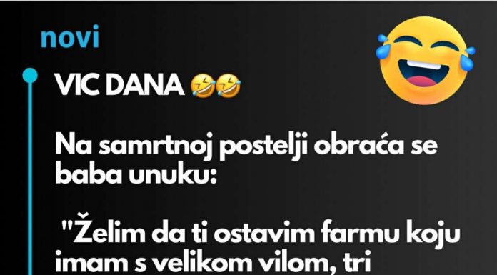 VIC DANA: BABA i milijoni