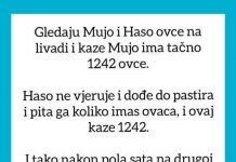 VIC OD KOJEG ĆETE PLAKATI OD SMIJEHA: Gledaju Mujo i Haso ovce