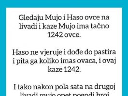 VIC OD KOJEG ĆETE PLAKATI OD SMIJEHA: Gledaju Mujo i Haso ovce