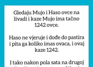 VIC OD KOJEG ĆETE PLAKATI OD SMIJEHA: Gledaju Mujo i Haso ovce