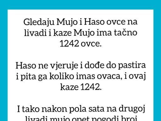 VIC OD KOJEG ĆETE PLAKATI OD SMIJEHA: Gledaju Mujo i Haso ovce