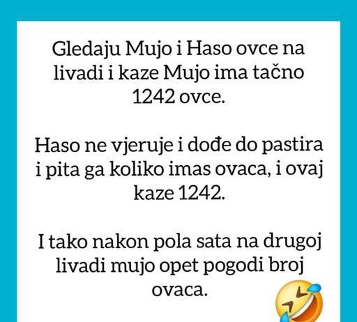 VIC OD KOJEG ĆETE PLAKATI OD SMIJEHA: Gledaju Mujo i Haso ovce