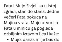 Vic dana: fatin genijalan plan