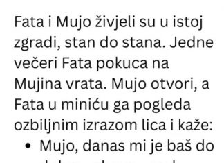 Vic dana: fatin genijalan plan