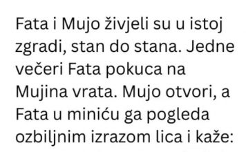 Vic dana: fatin genijalan plan